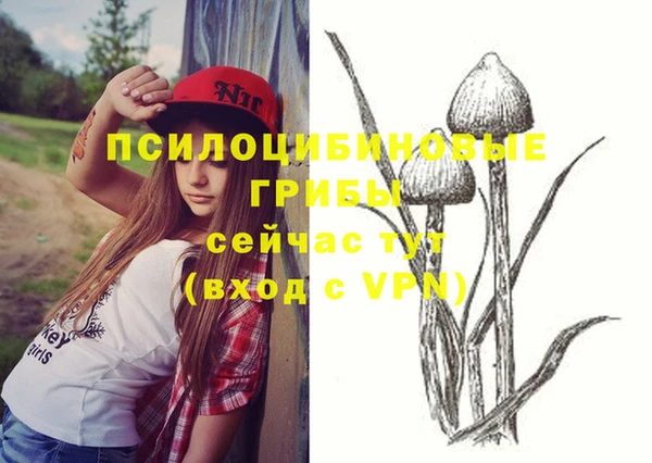 сатива Абдулино