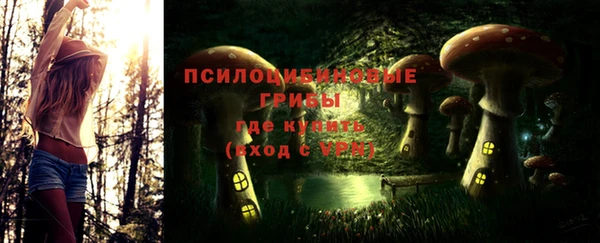 прущий лед Абаза