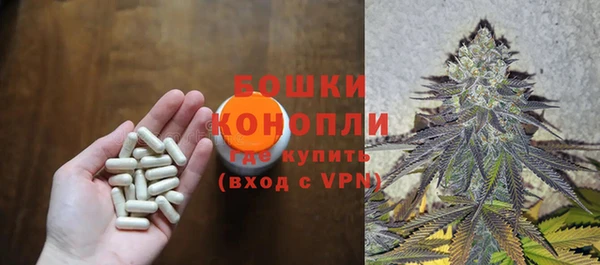 сатива Абдулино