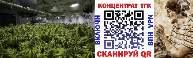 ТГК концентрат  Гагарин 