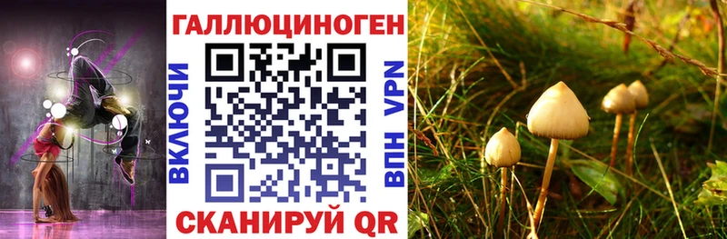 Галлюциногенные грибы ЛСД  сколько стоит  Гагарин 